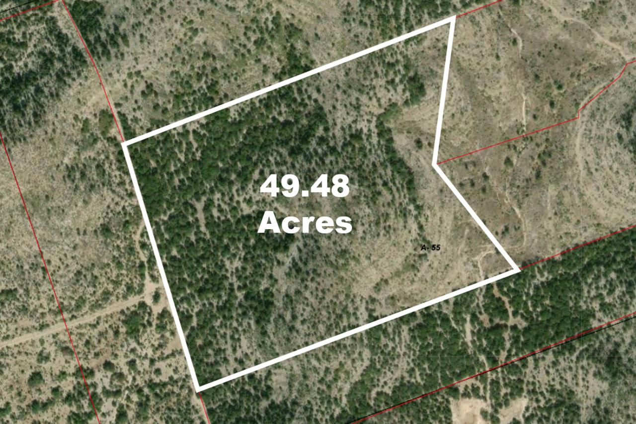 00 HWY 55 LOT 1,19 — photo 5