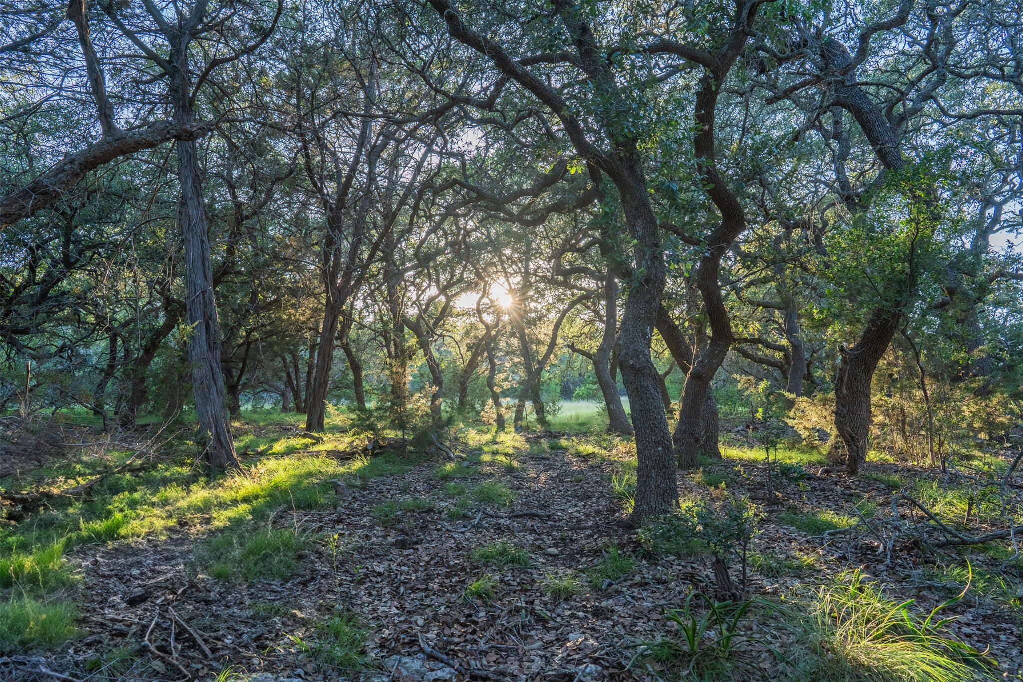 TBD Crabapple RD — photo 3
