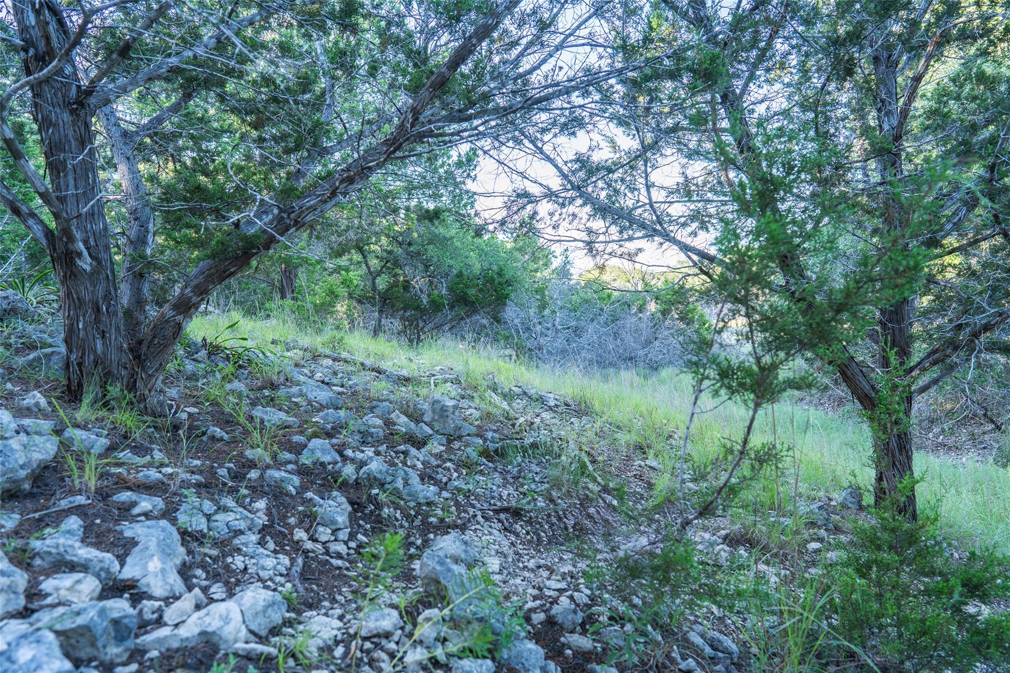 TBD Crabapple RD — photo 5