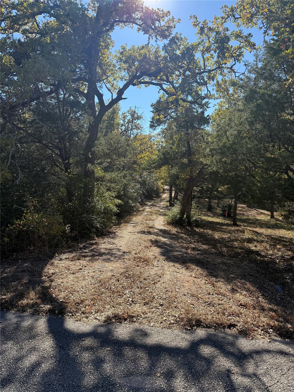 628 Leisure LN — photo 4