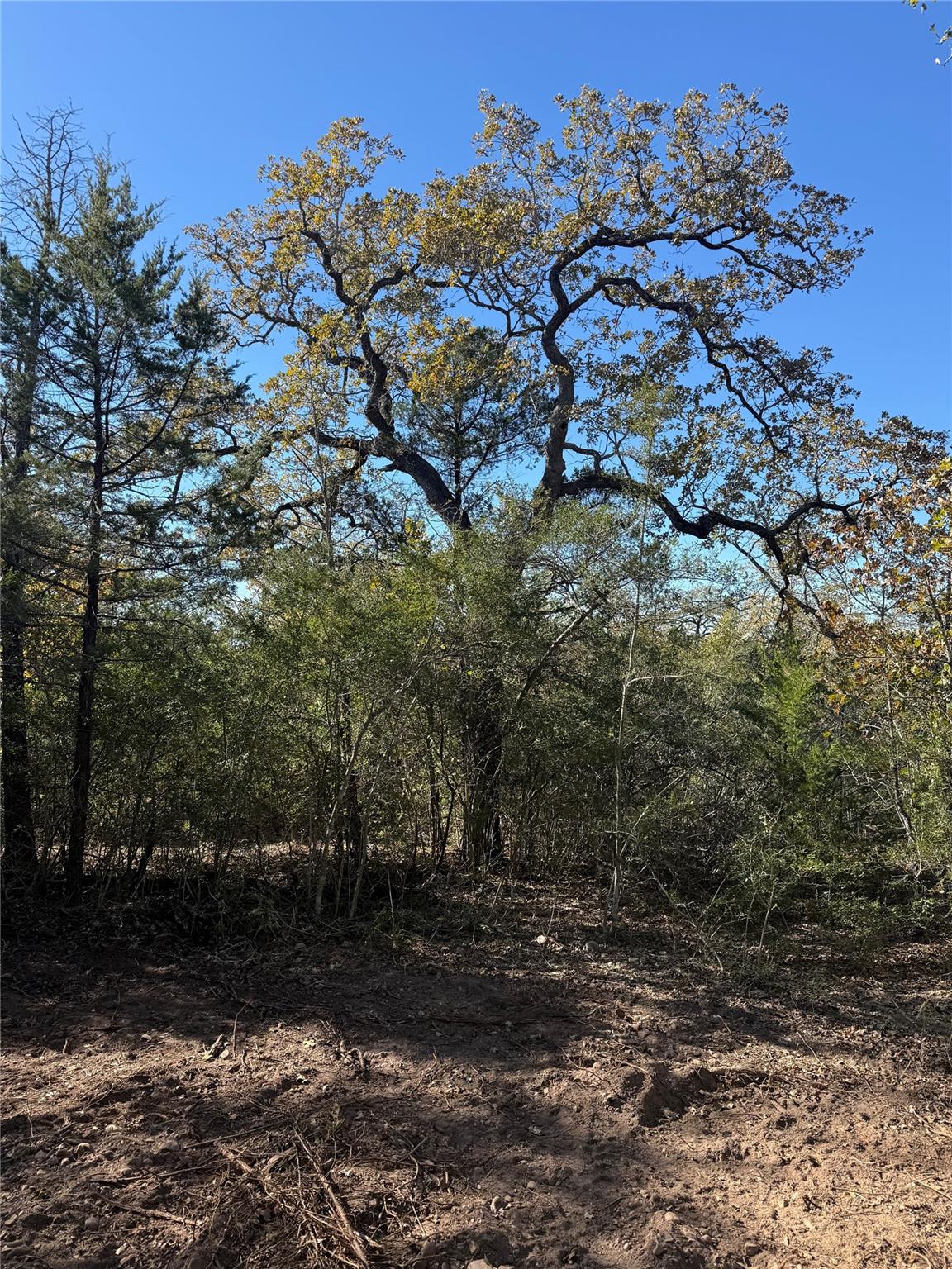 628 Leisure LN — photo 5