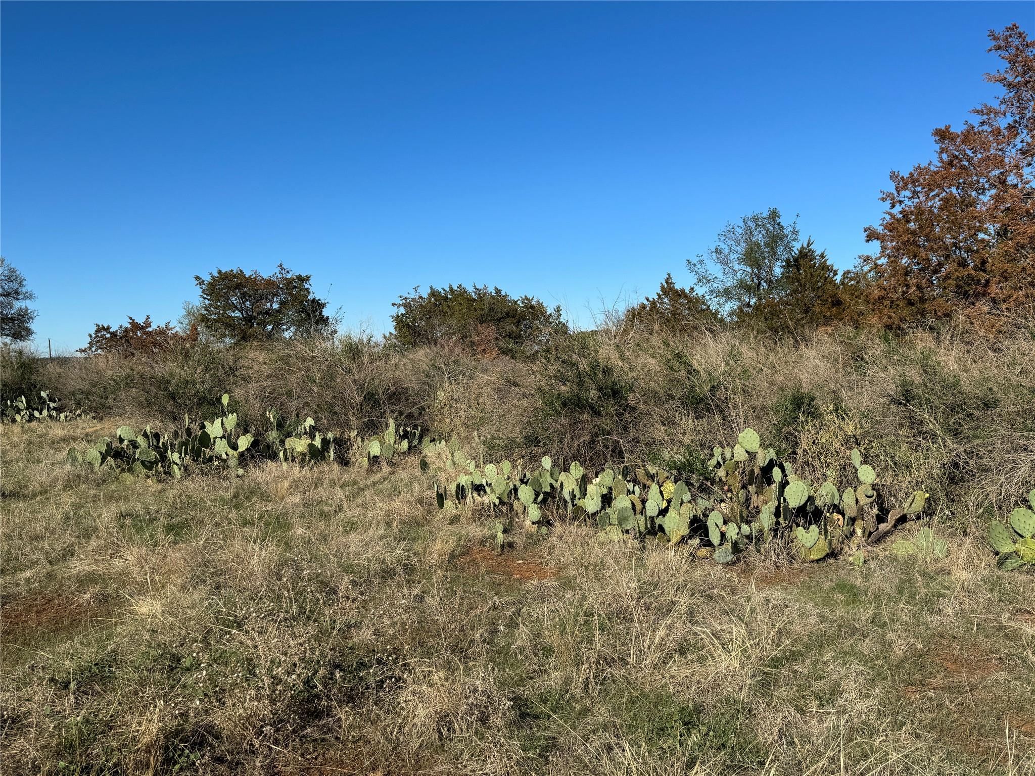 6939 FM 690 — photo 4