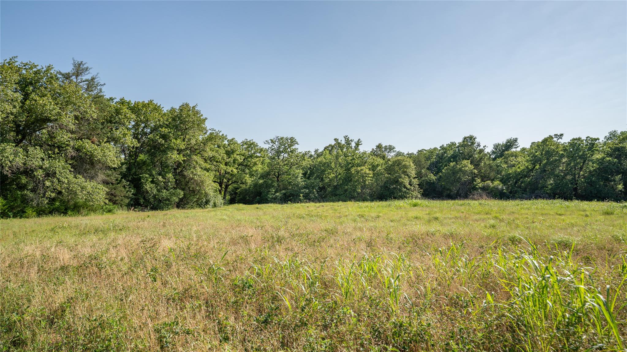 2485 County Road 258 — photo 5