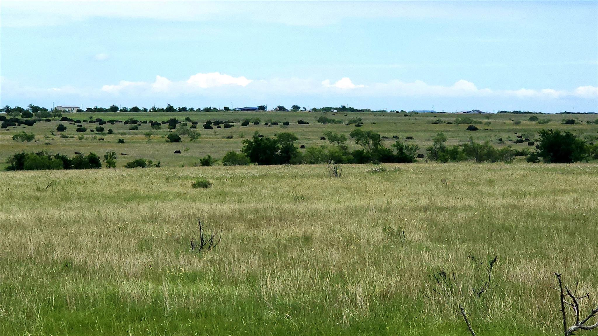 TBD County Road 963 — photo 3