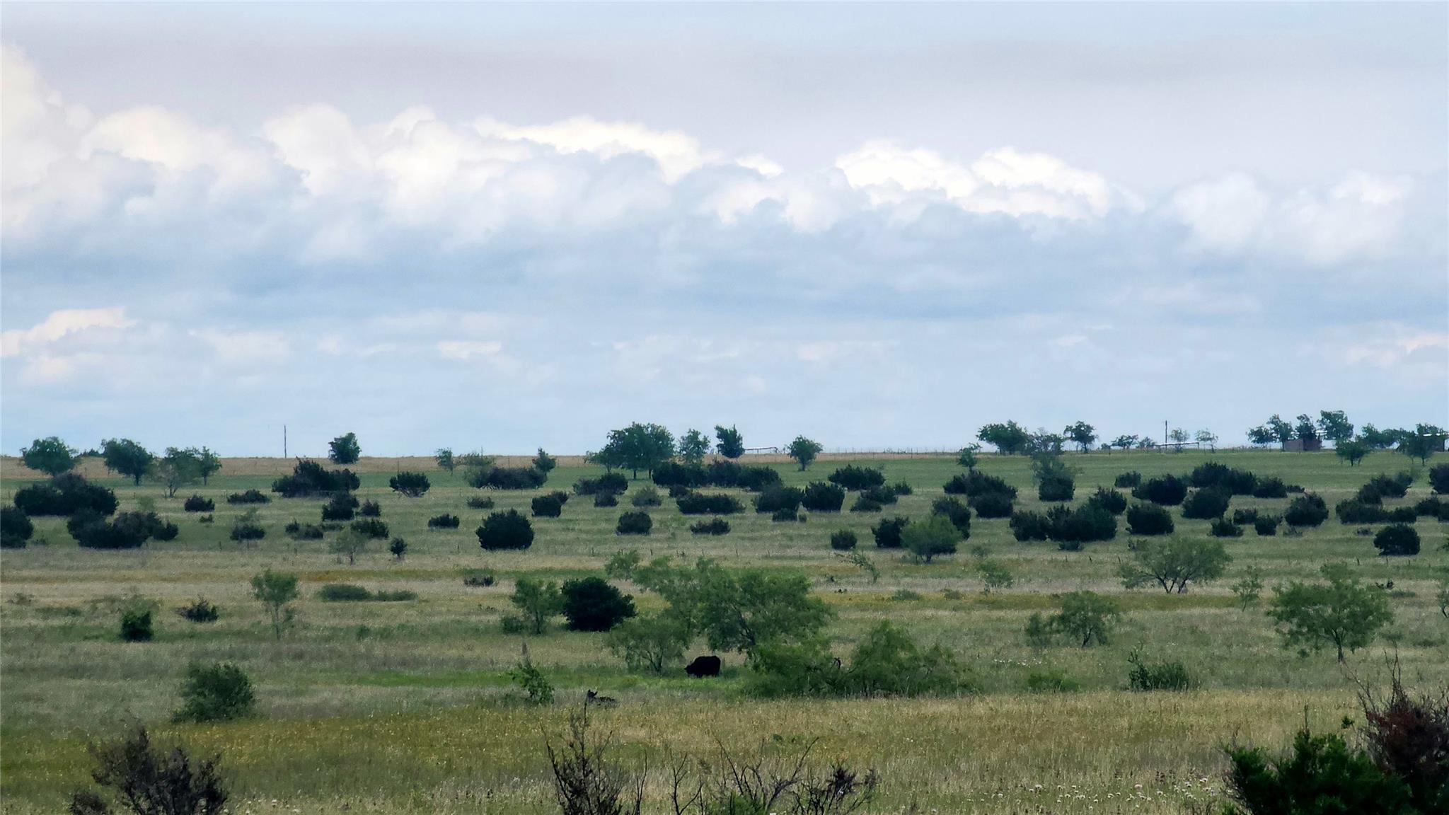 TBD County Road 963 — photo 4