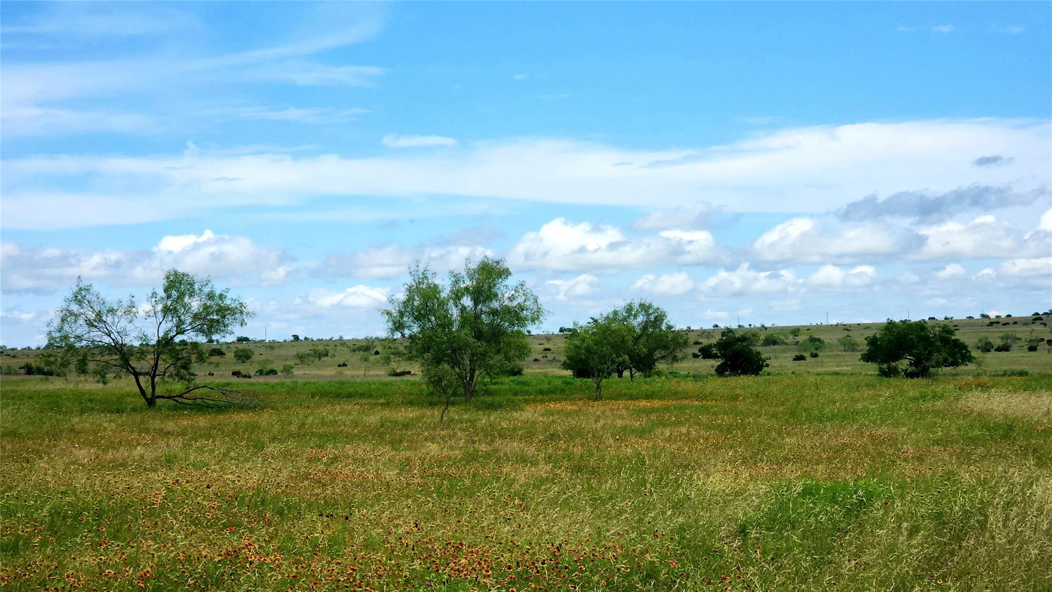 TBD County Road 963 — photo 5
