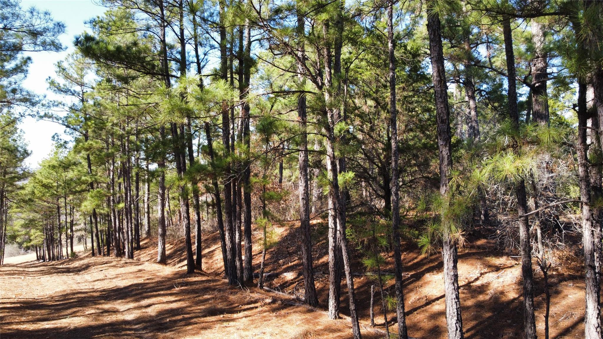 0 Pine Lodge Drive Lot 26 — photo 3