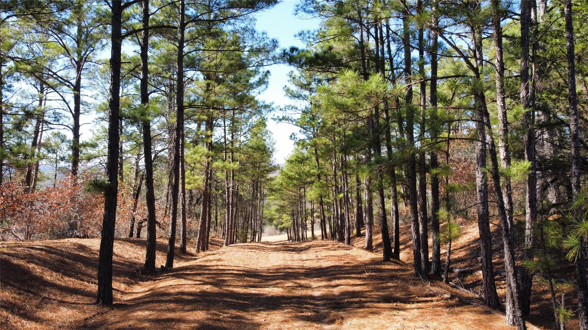 0 Pine Lodge Drive Lot 26 — photo 4