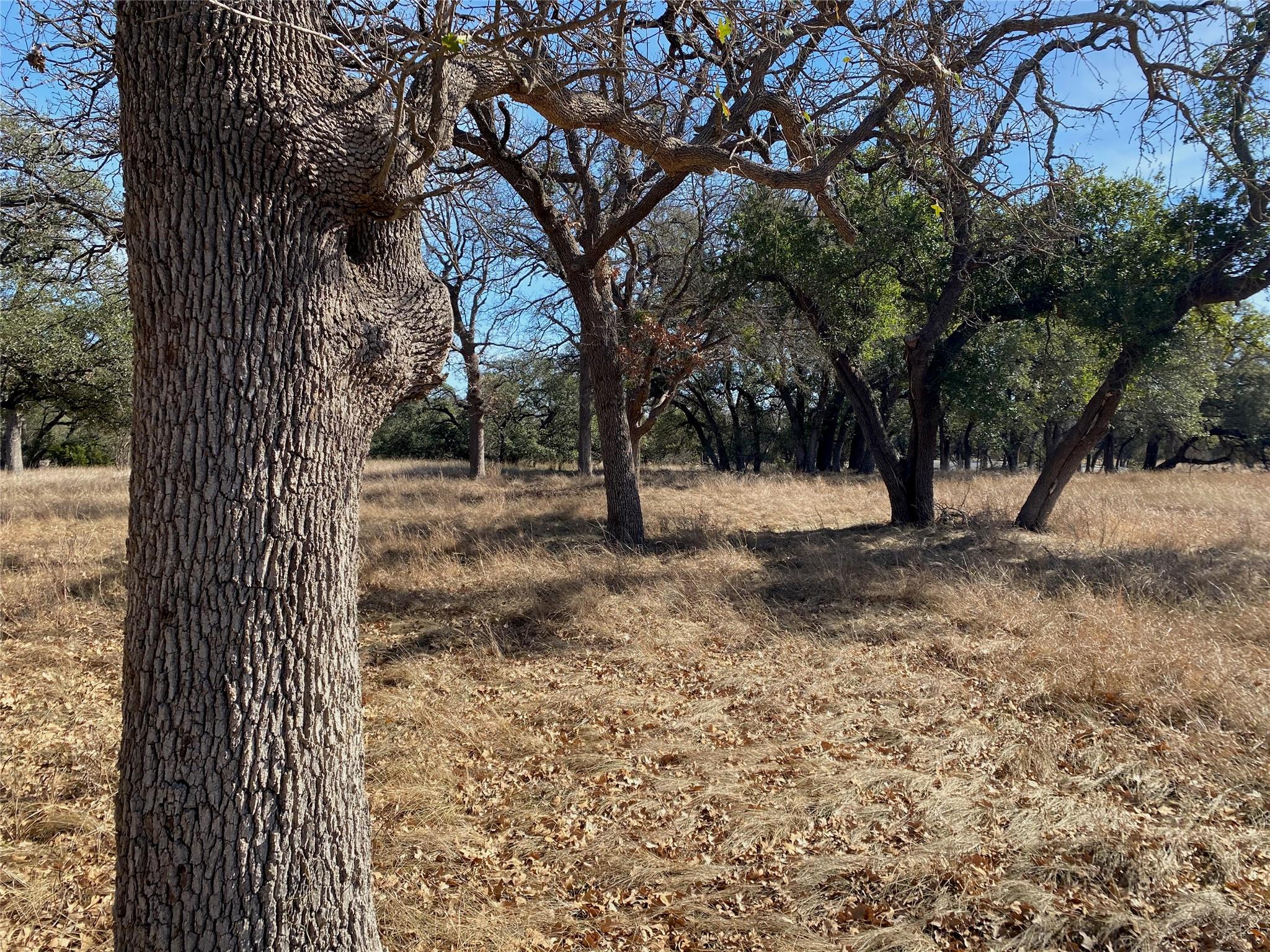 304 Lightning Ranch PT — photo 3