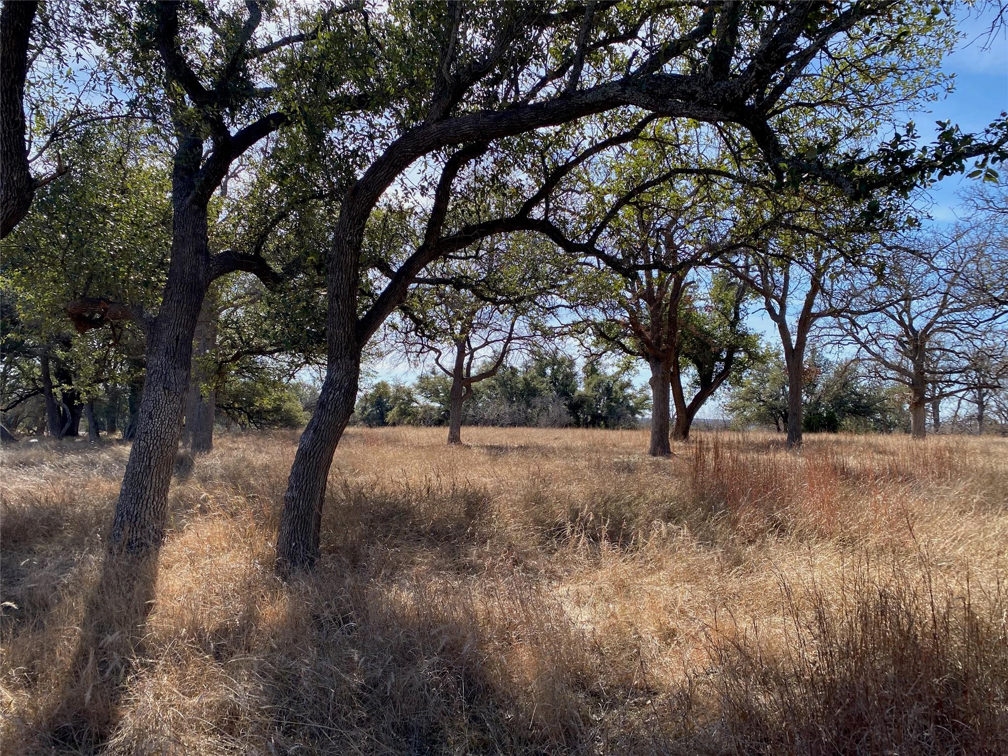 304 Lightning Ranch PT — photo 5