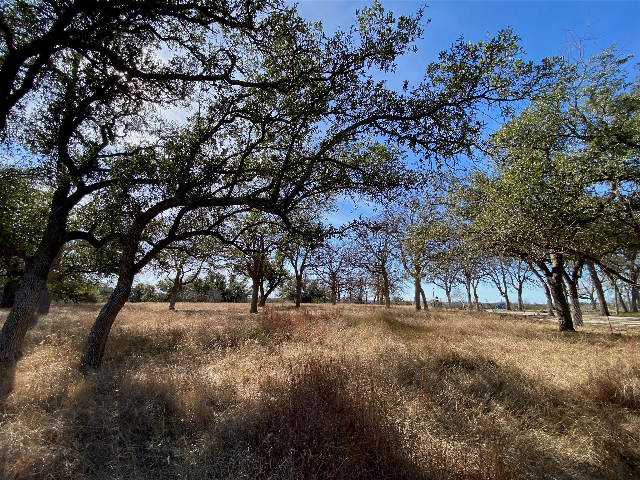304 Lightning Ranch PT — photo 4