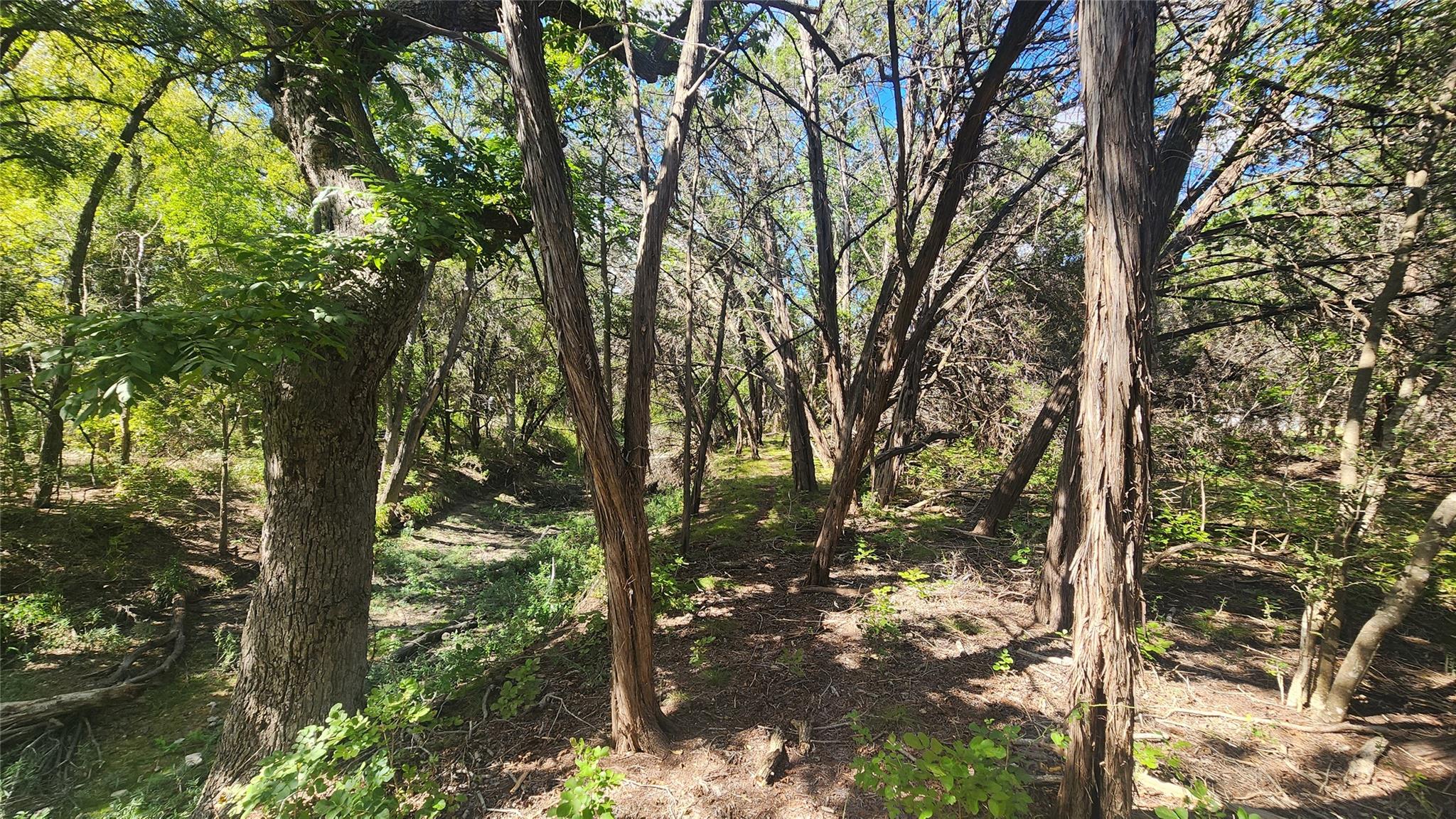 25615 Ronald W Reagan BLVD — photo 4