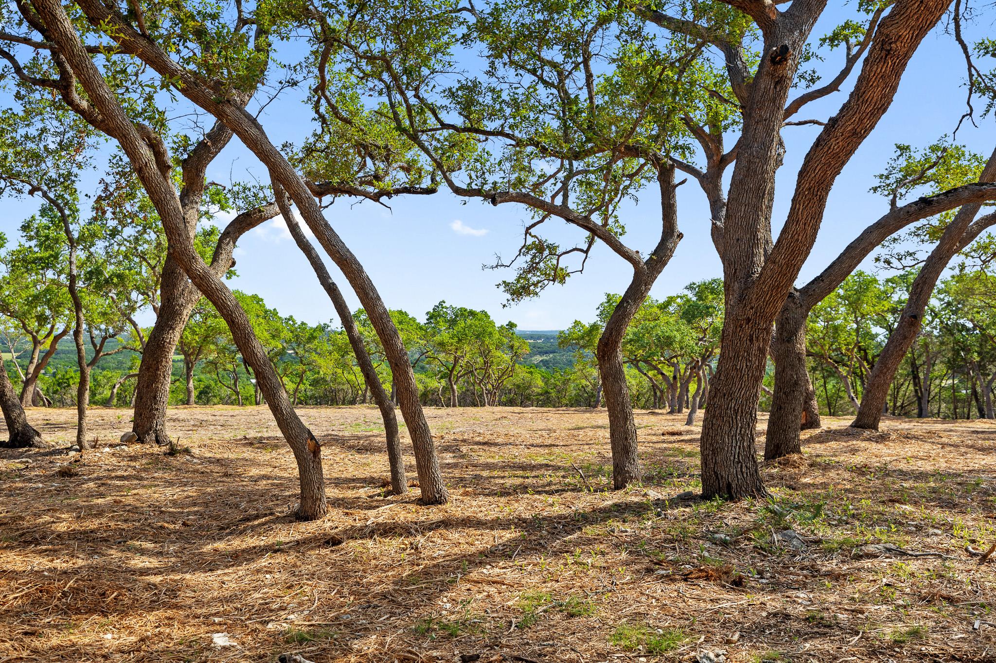 9475 FM 32, Lot 15 — photo 5