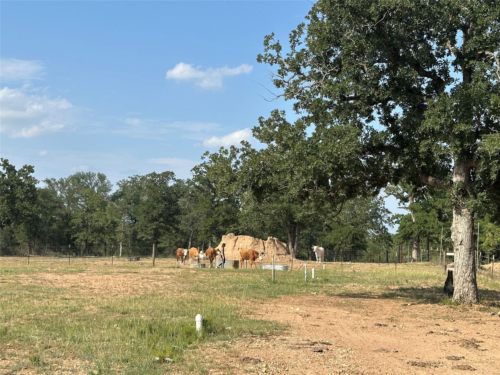 10096 Us Highway 183 Highway — photo 3