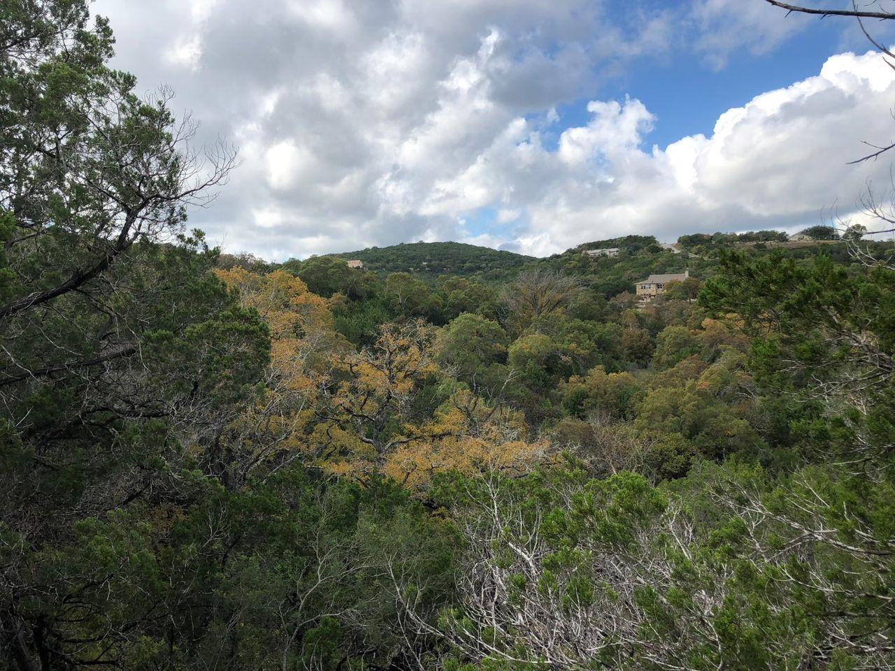 Lot 101 Montana Creek XING — photo 5