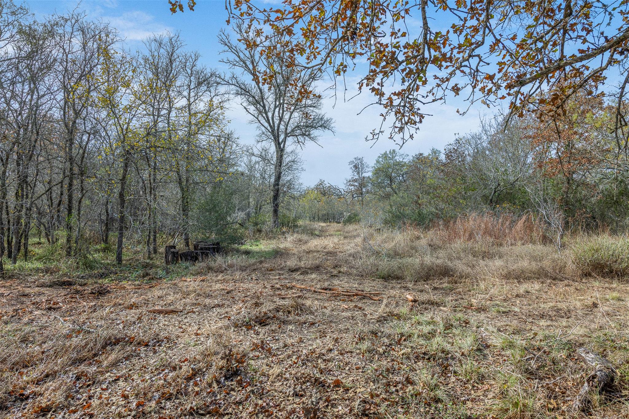 766 Bugtussle LN — photo 3