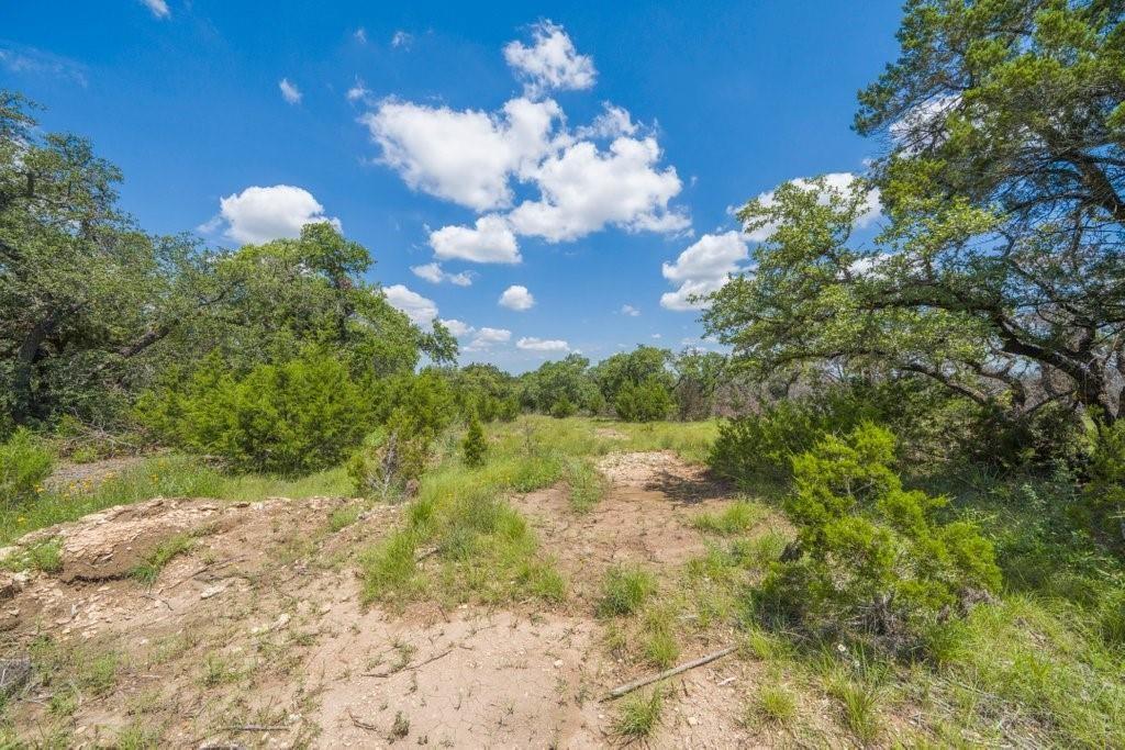 3700 FM 2325 TRACT 2 #Tract 2 — photo 3
