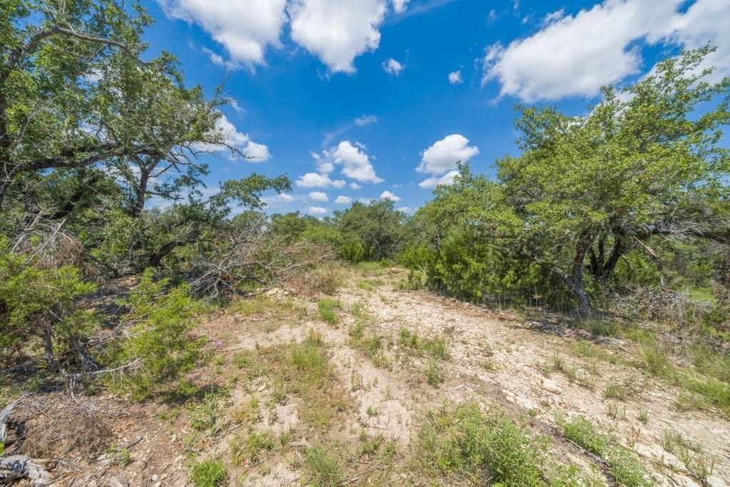 3700 FM 2325 TRACT 2 #Tract 2 — photo 4