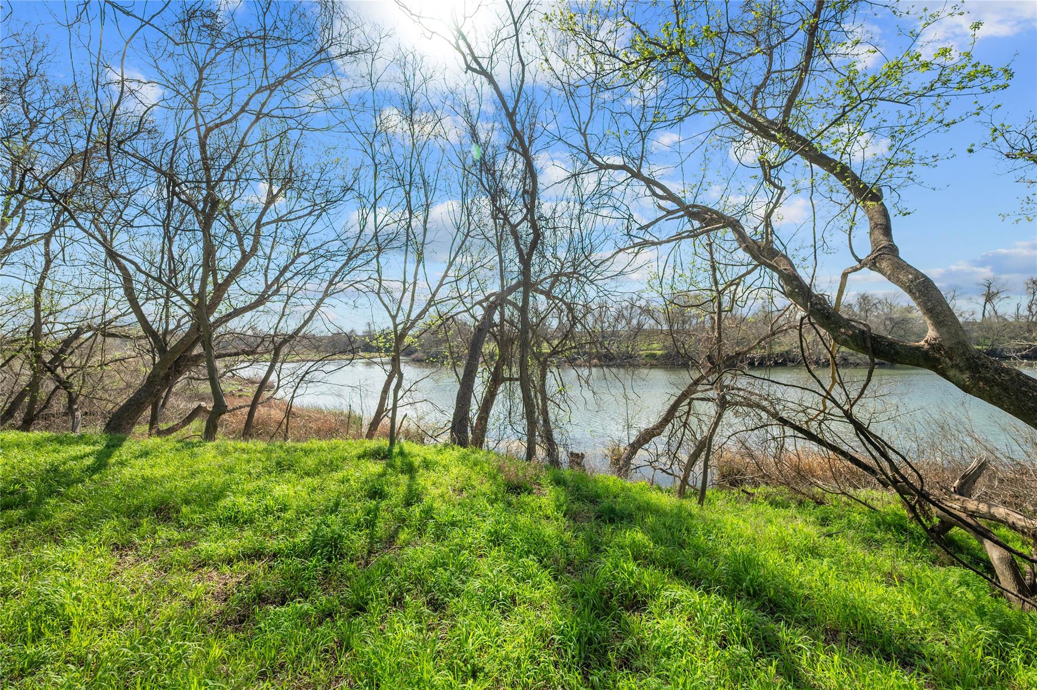 7705 Shelton RD — photo 4