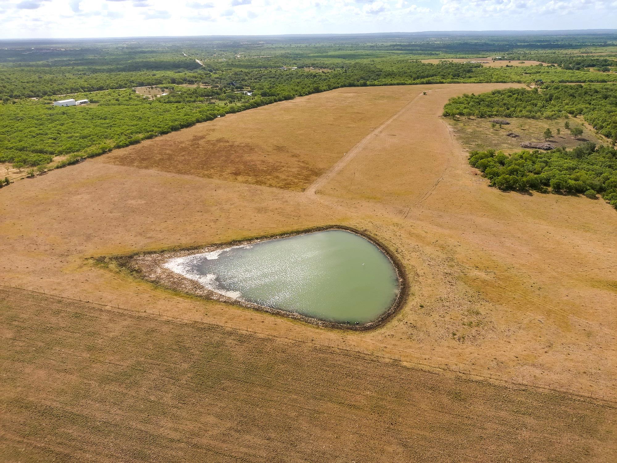 TBD County Road 446 — photo 4