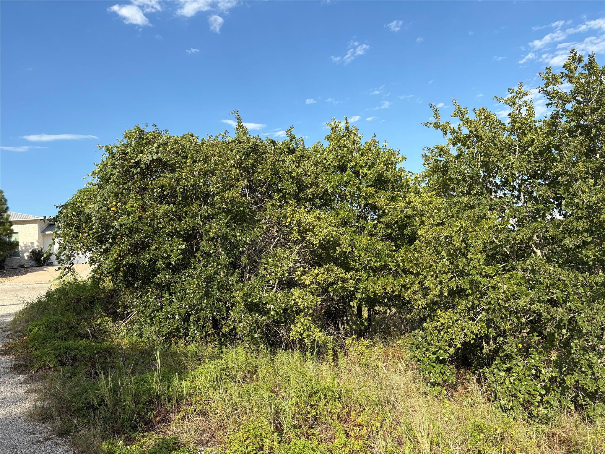 TBD Kimo CT — photo 3