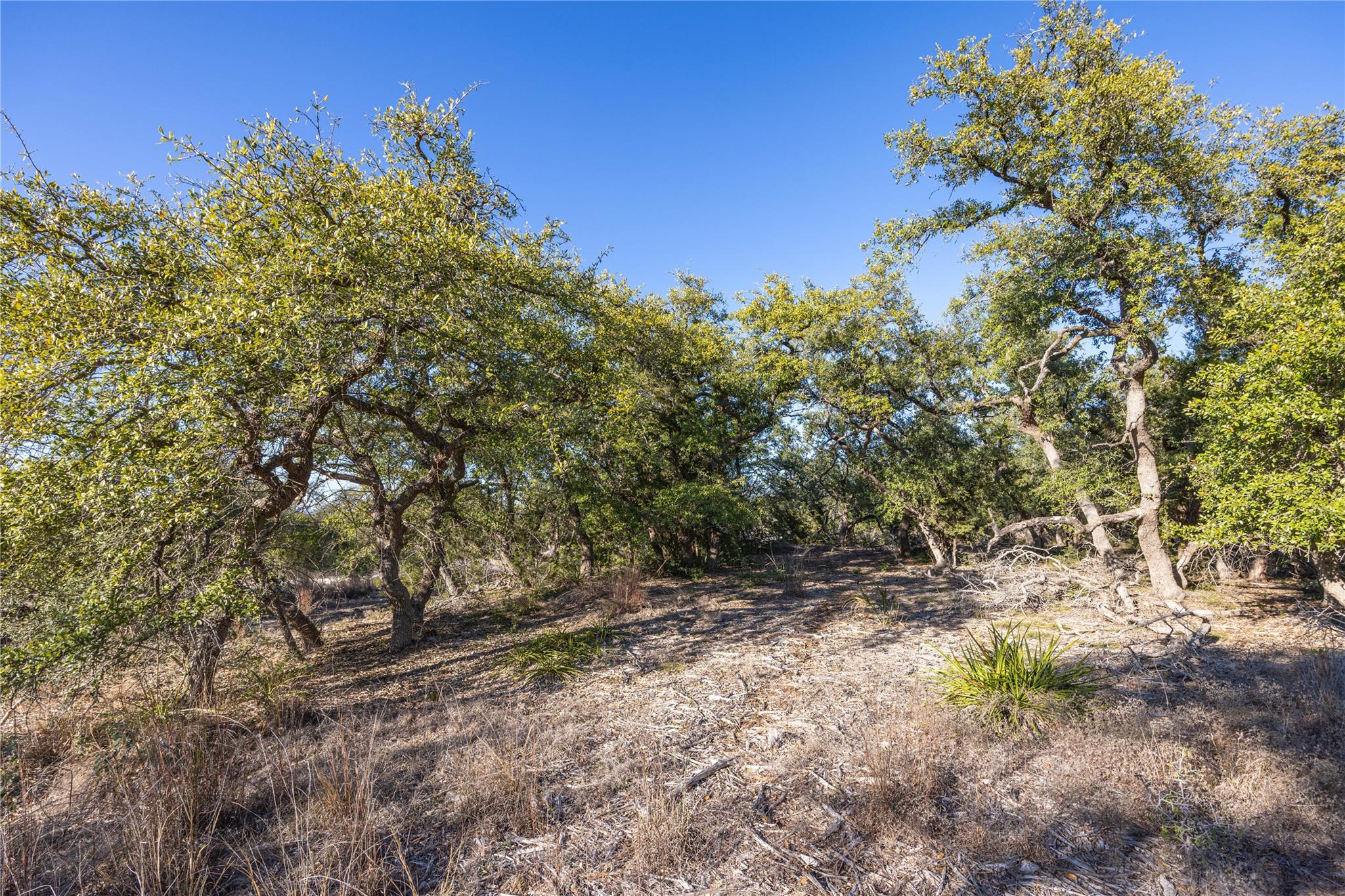 130 Panorama DR — photo 4