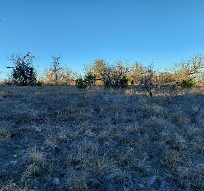 TBD Lot# 33 Comanche Hills DR — photo 4