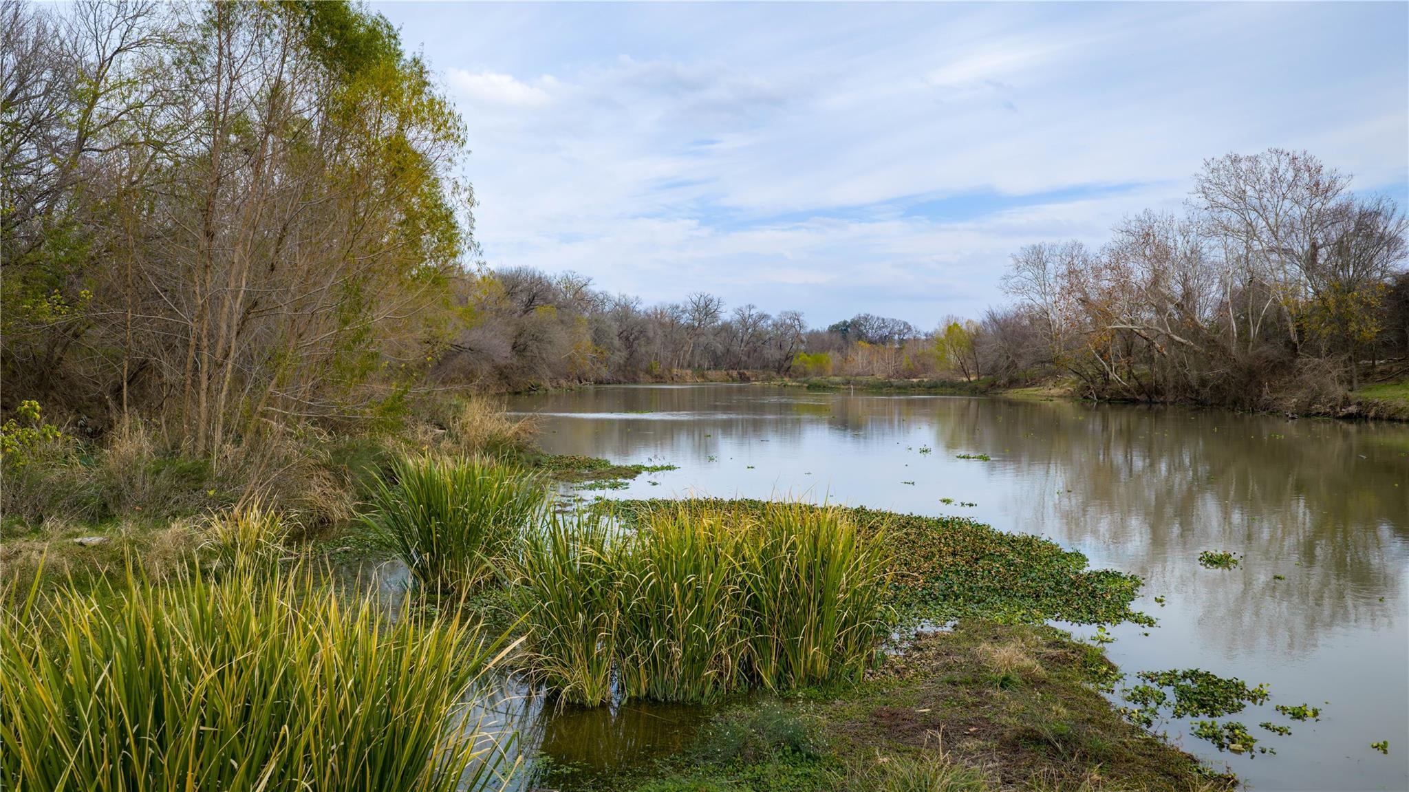 218 Brody LN — photo 4