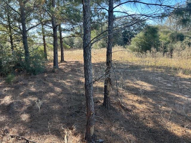 7179 FM 141 — photo 3