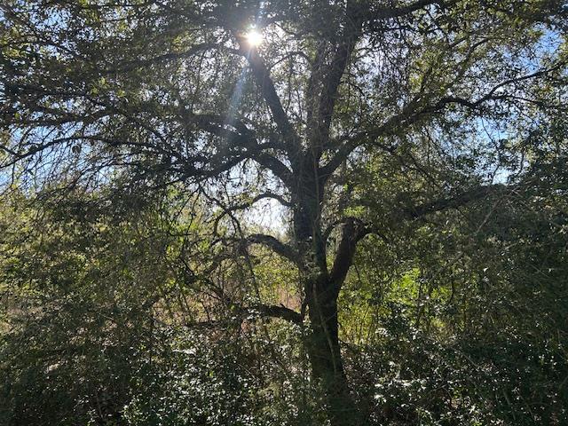 7179 FM 141 — photo 4