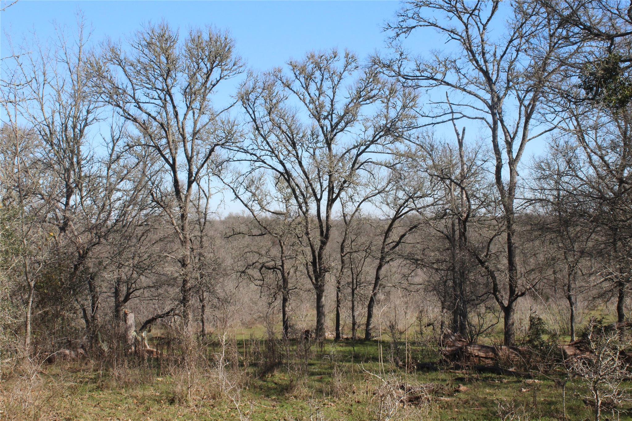1223 County Road 429 — photo 4