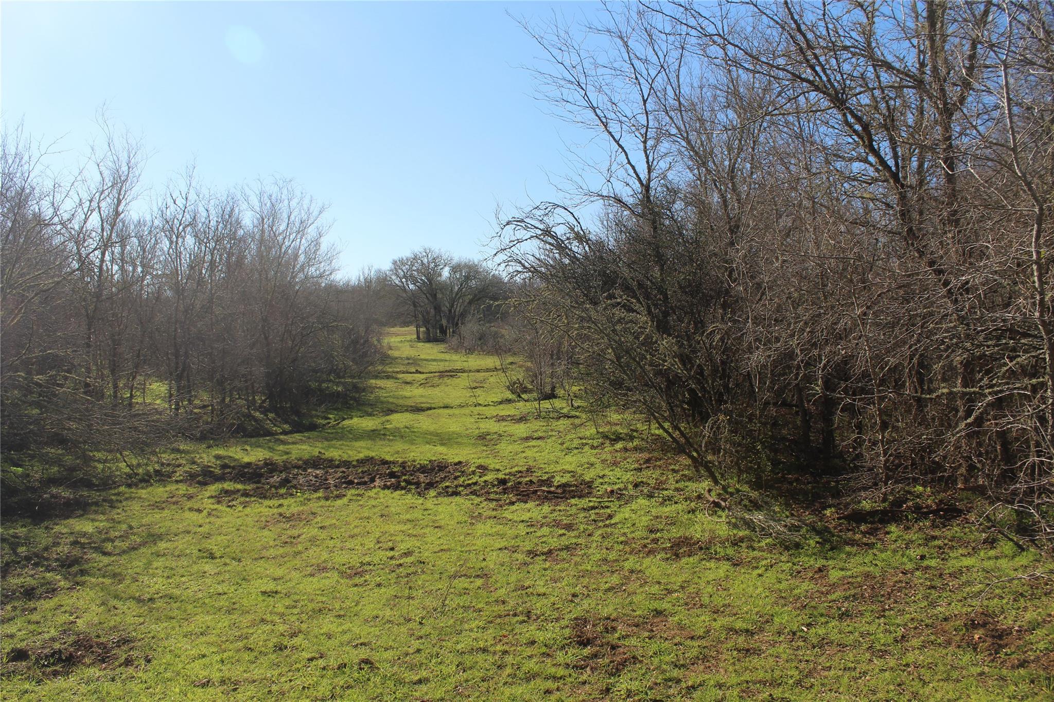 1223 County Road 429 — photo 5
