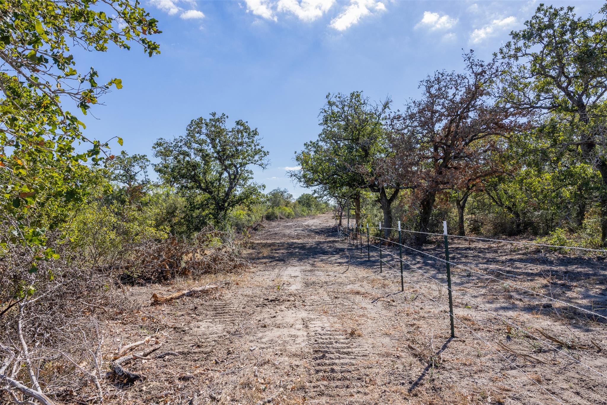 Lot 7 County Road 211 — photo 3