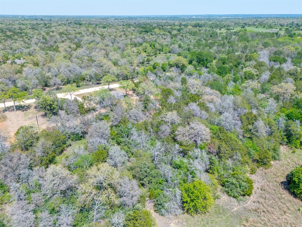 119 Milam LN #B — photo 5