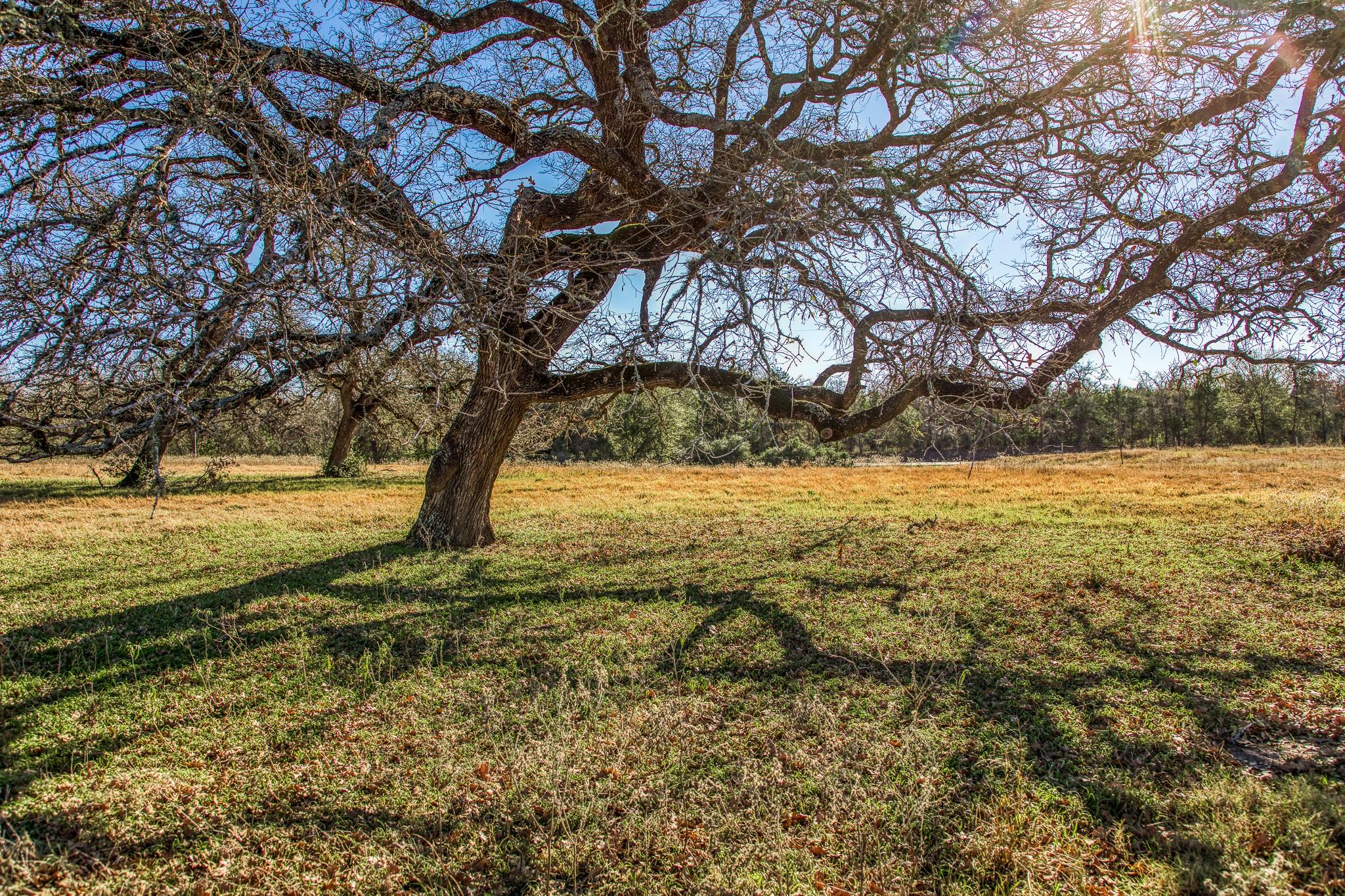 9354 Fm-2780 — photo 3
