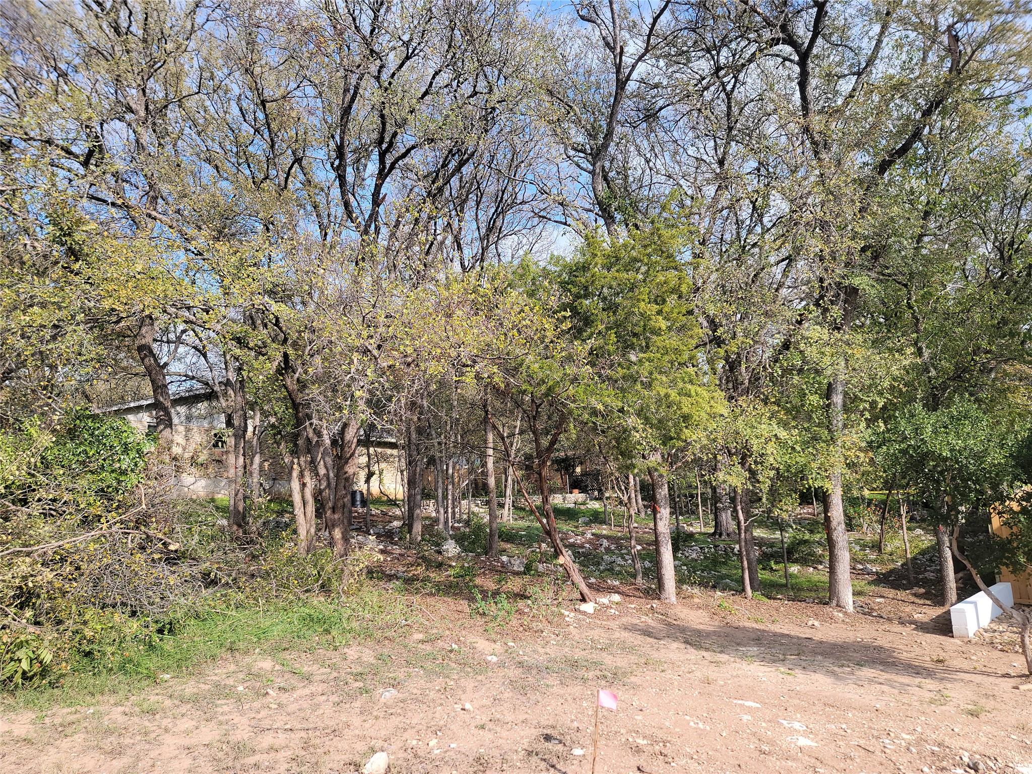 7905 Ceberry DR — photo 3