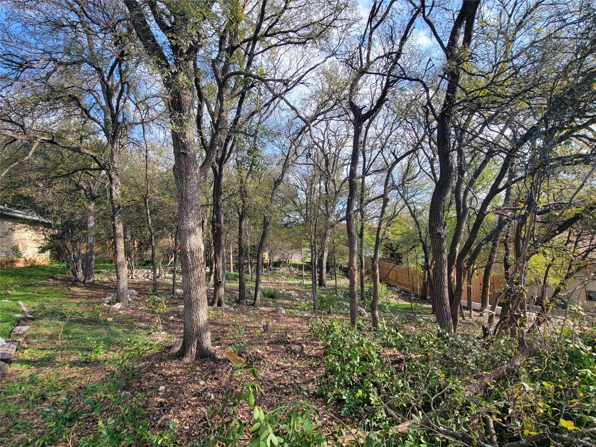 7905 Ceberry DR — photo 4