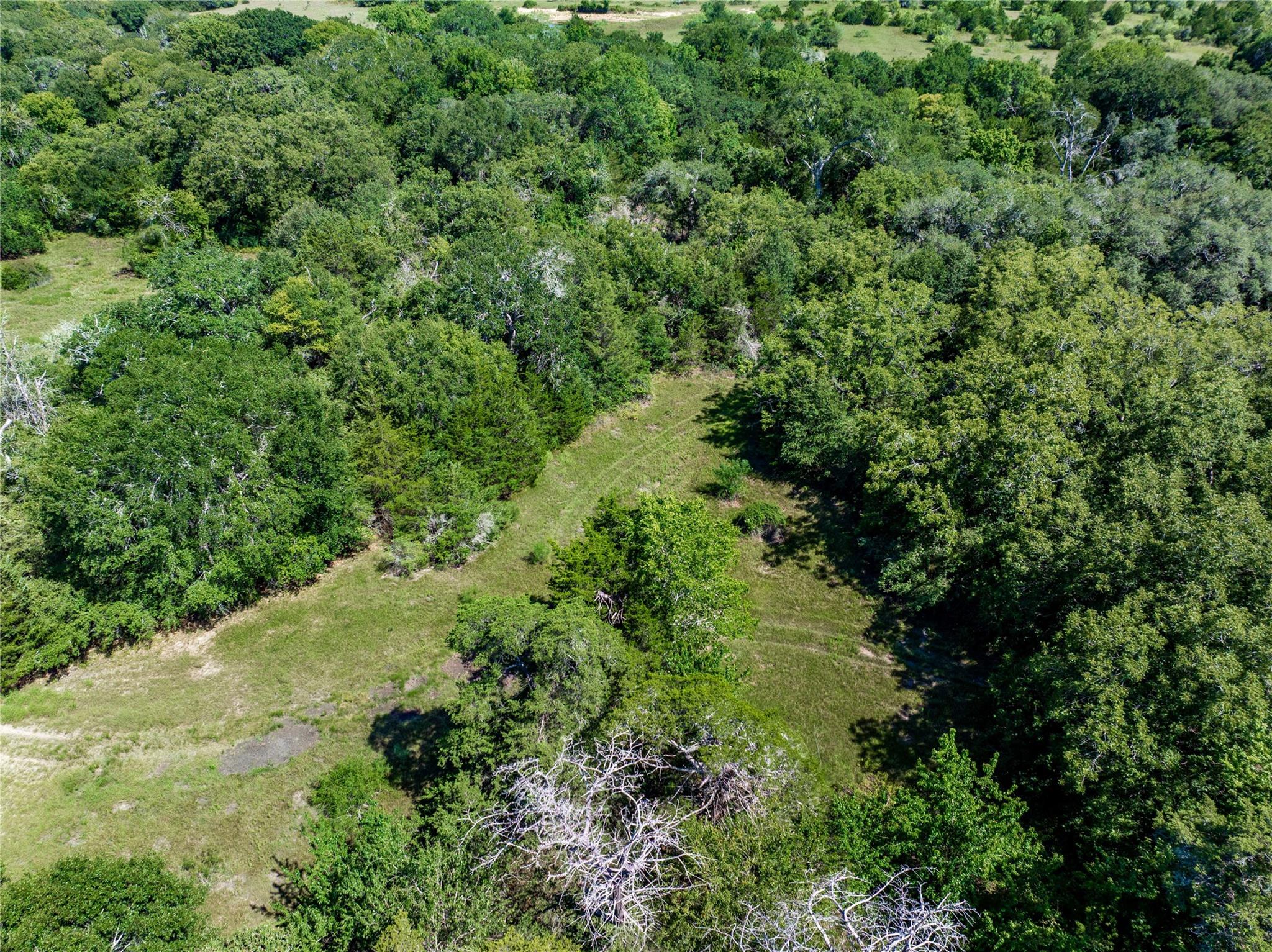 TBD CR 253 — photo 5