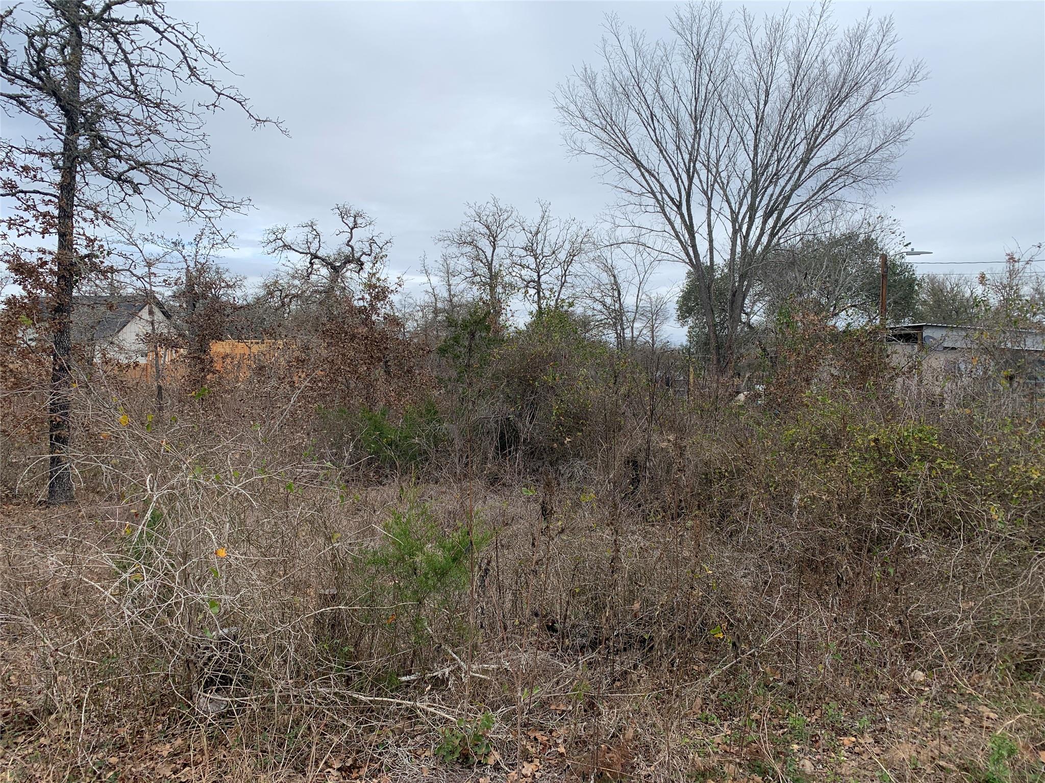 TBD Chickasaw — photo 3