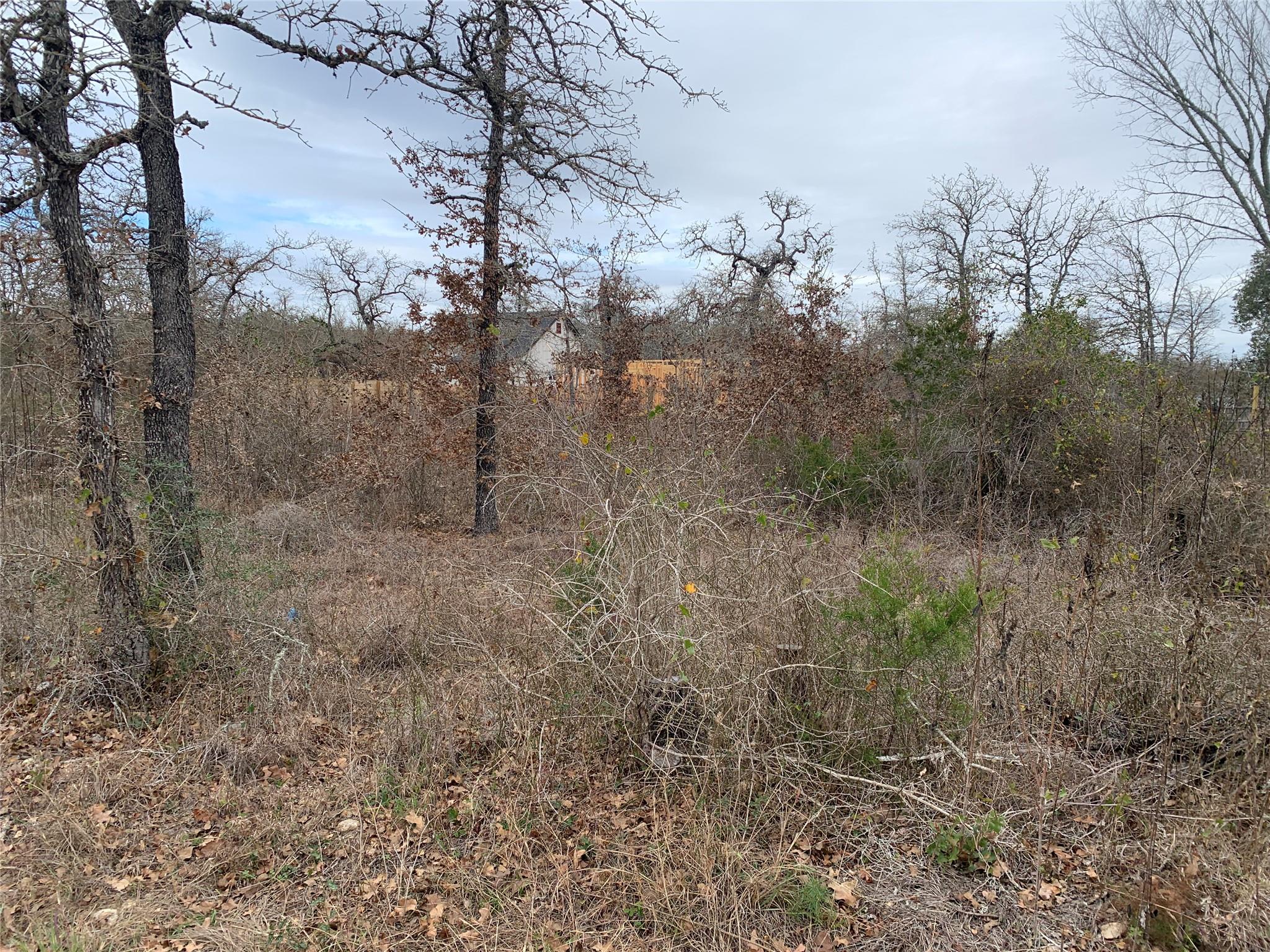 TBD Chickasaw — photo 4