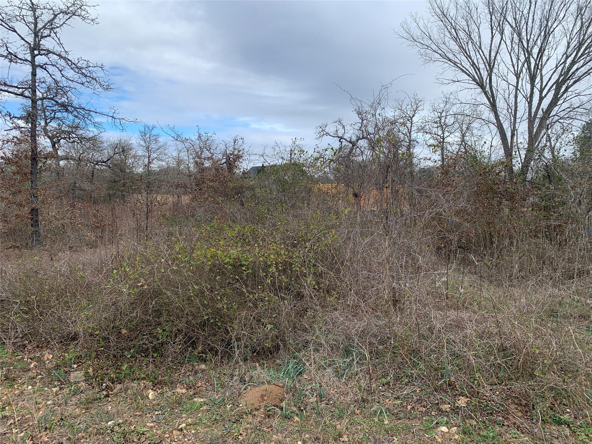TBD Chickasaw — photo 5