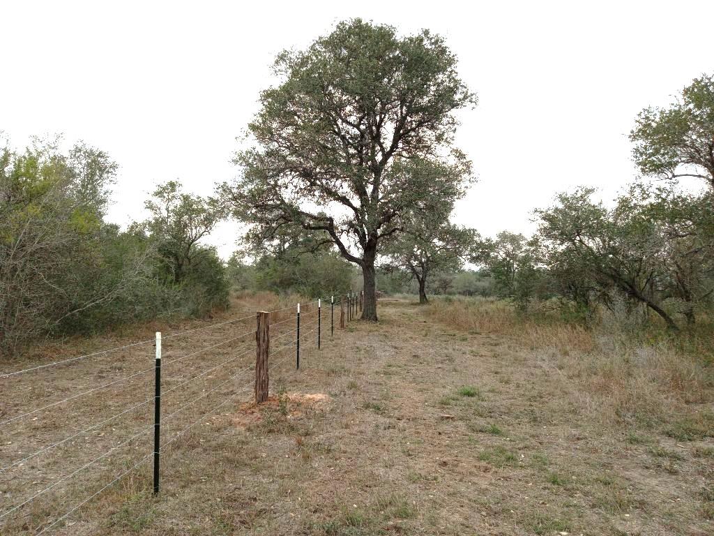 251 Lefty Lane LN — photo 4