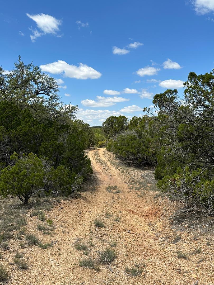TBD County Road 529 — photo 3