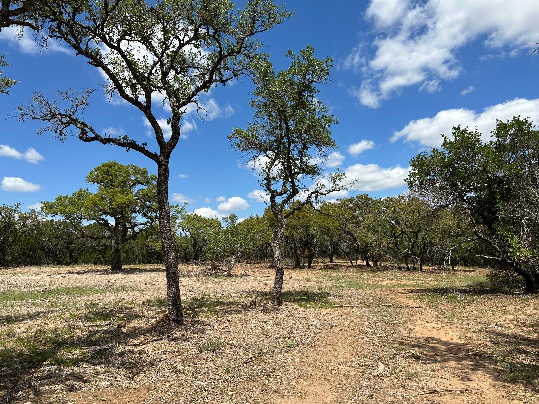 TBD County Road 529 — photo 4