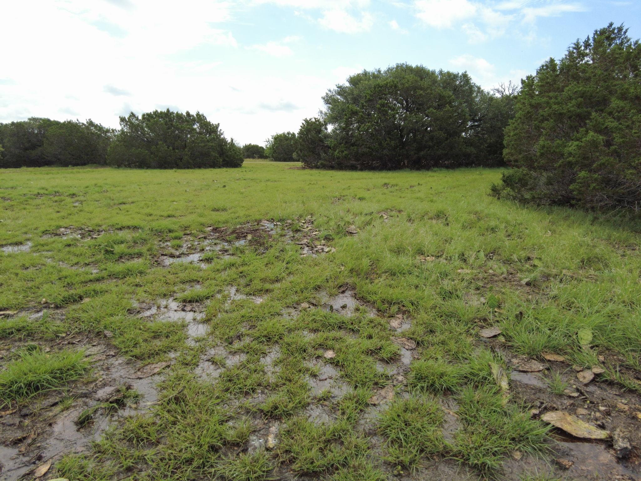 TBD CR 206 — photo 4