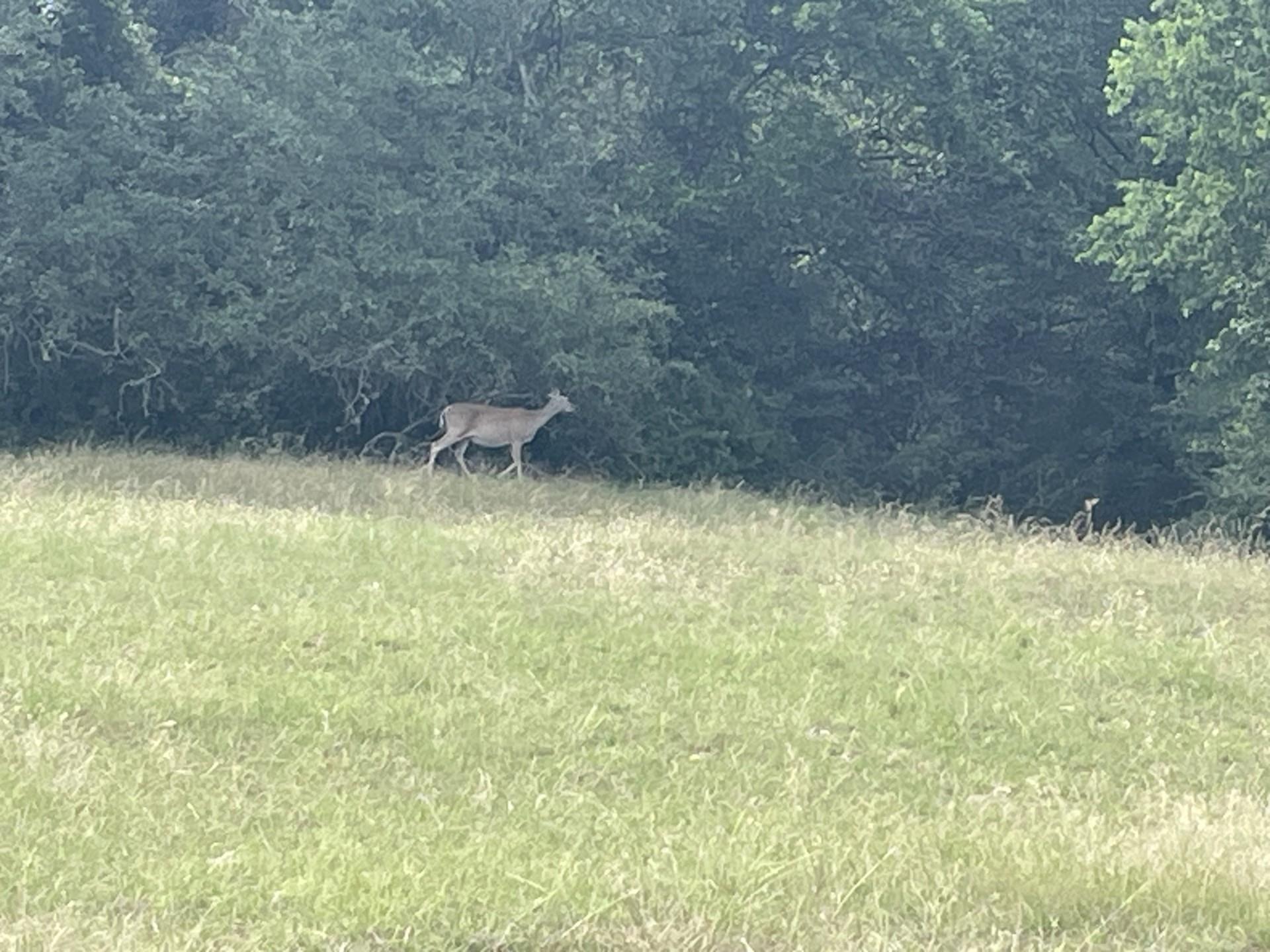 TBD Donahue Road RD — photo 4