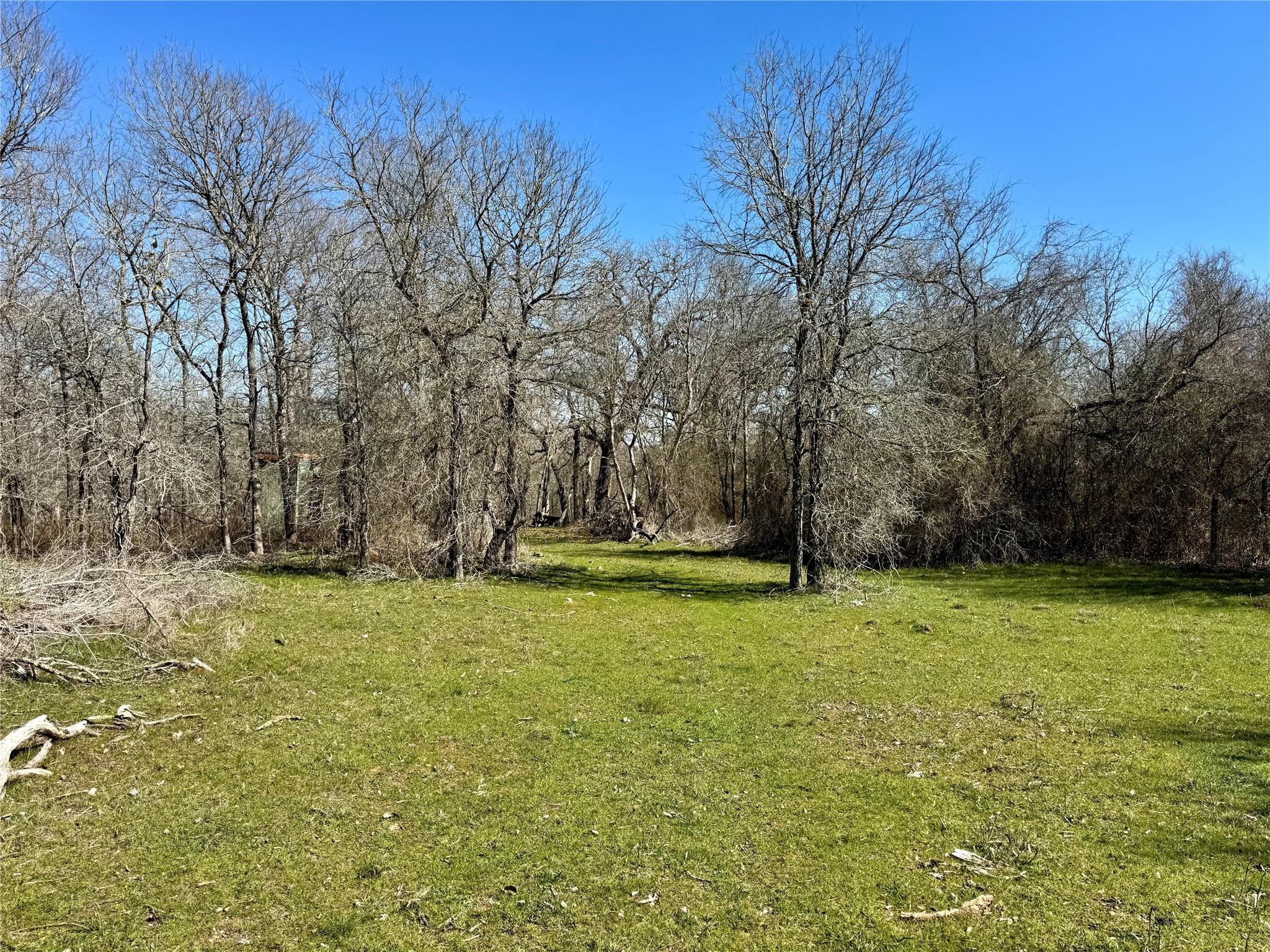 000 County Road 418A RD — photo 3