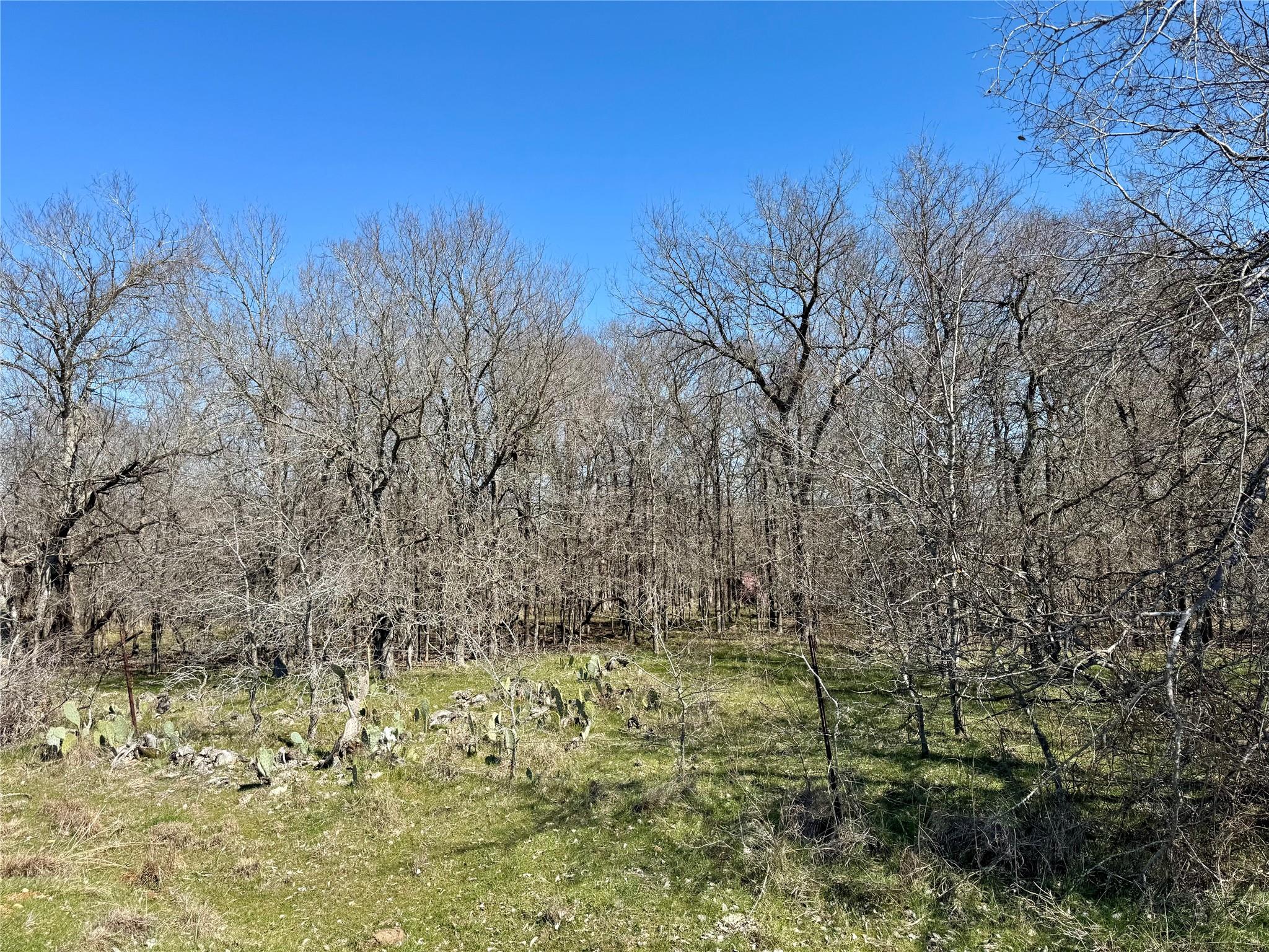 000 County Road 418A RD — photo 5