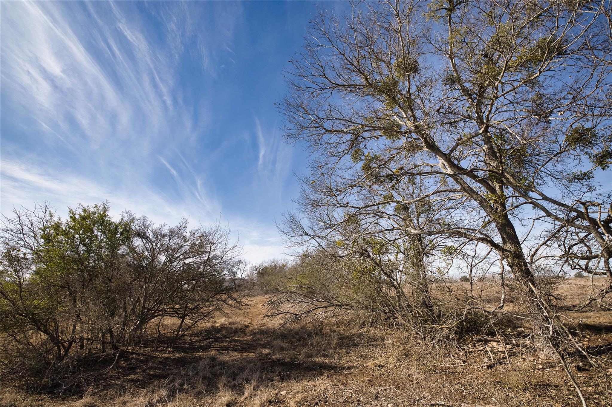11639 Voges PASS — photo 4