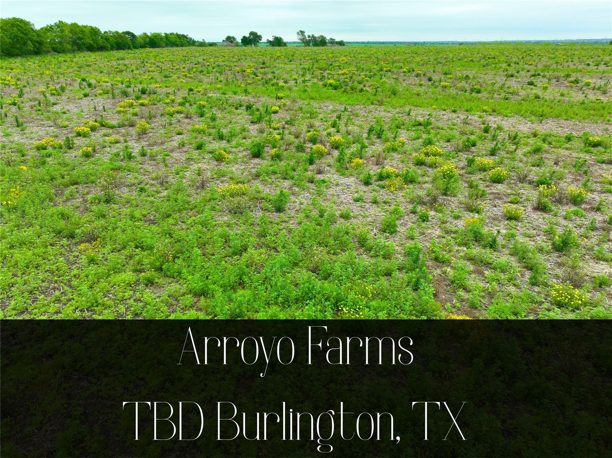 TBD Lot 6, Blk 1 132 RD
